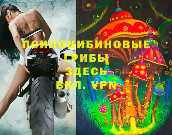 тгк Бугульма