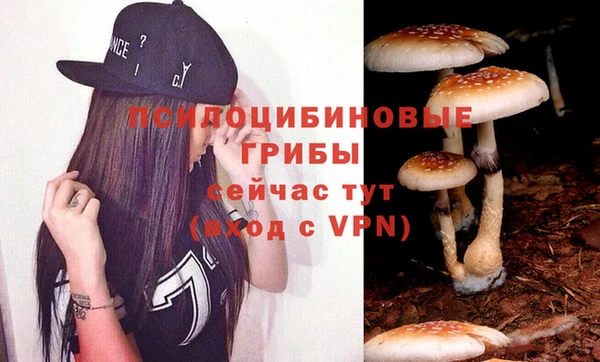 MDMA Новозыбков