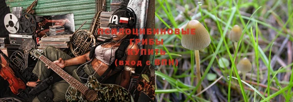стафф Нязепетровск