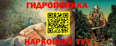 хмурый Гусь-Хрустальный
