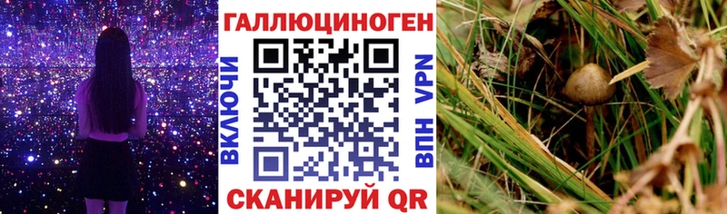 Галлюциногенные грибы ЛСД  blacksprut ССЫЛКА  Нововоронеж 