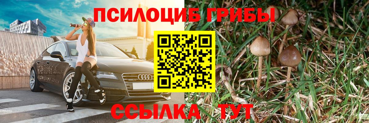 Нововоронеж  Псилоцибиновые грибы Cubensis  Вход с VPN 