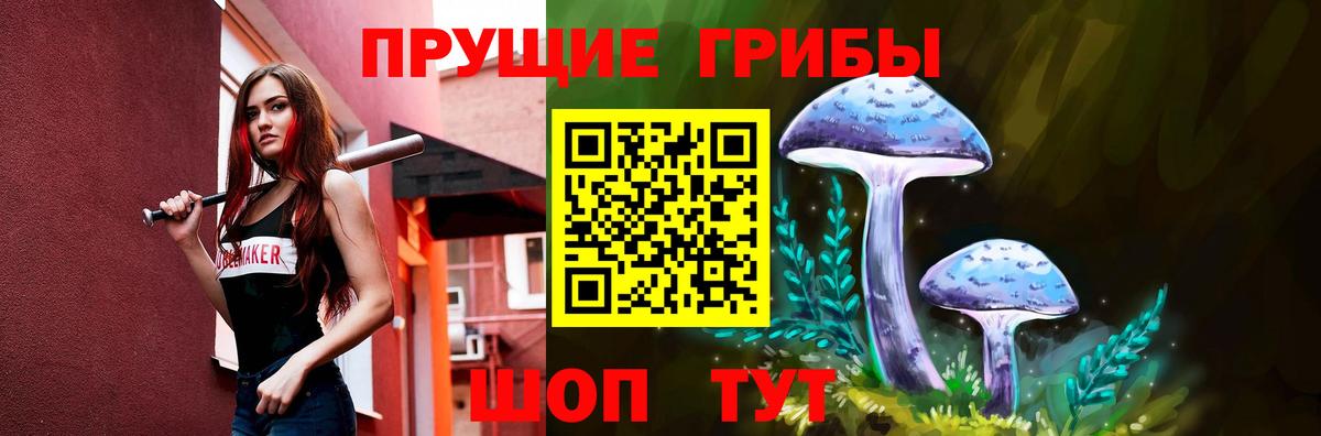 Галлюциногенные грибы мицелий Нововоронеж